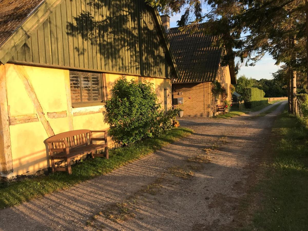 Bed & Breakfast 5 Min From E47 - Dogs Welcome - Cosy Farm Bnb Tureby Exterior photo